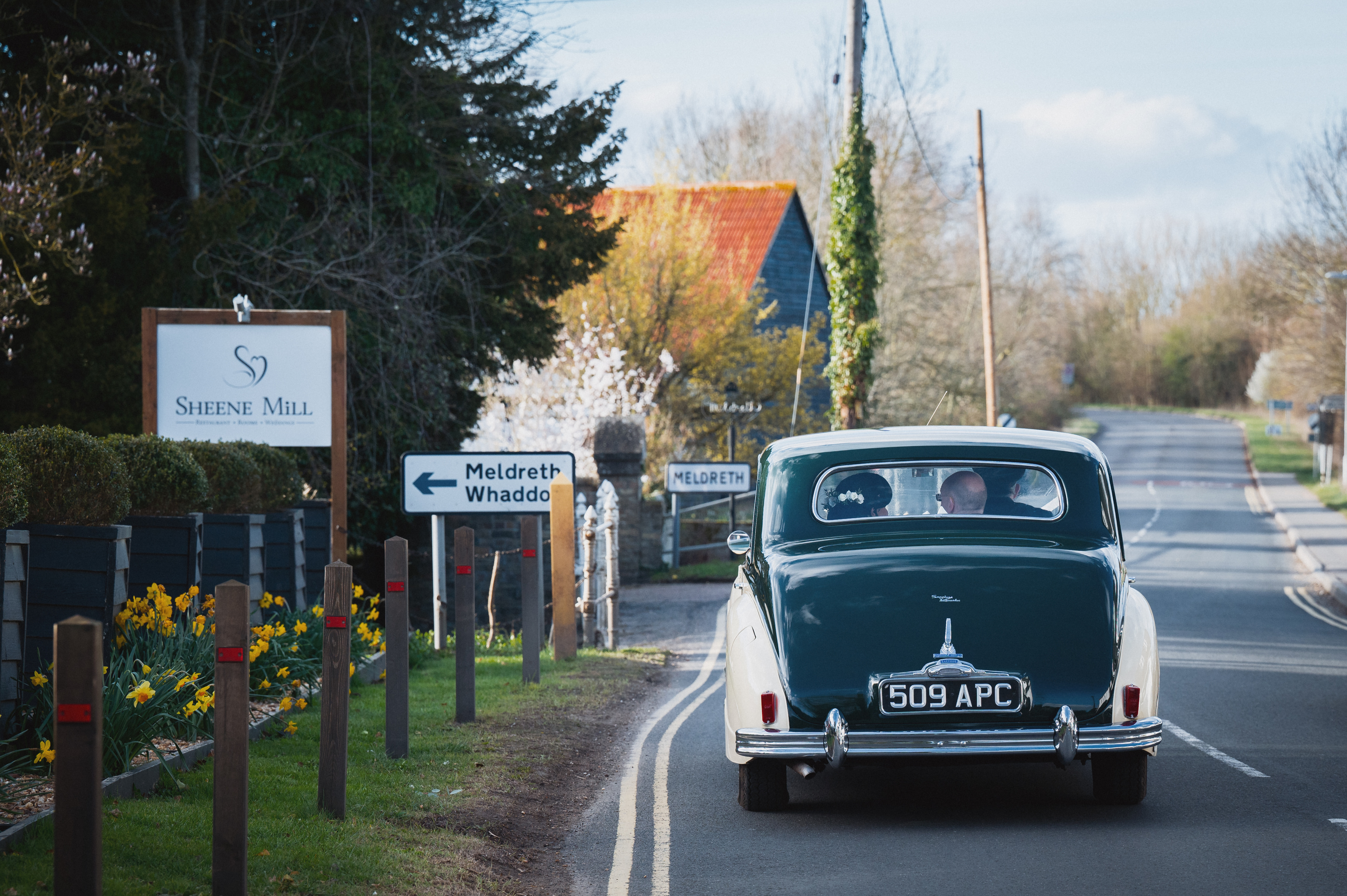 A vintage wedding car on Station Road passing the Sheene Mill sign and spring daffodils in Melbourn, Cambridgeshire